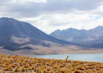 探索智利：旅游费用大揭秘！ (Exploring Chile: The Big Revelation of Travel Costs!)