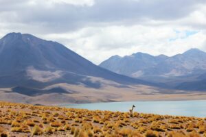 探索智利：旅游费用大揭秘！ (Exploring Chile: The Big Revelation of Travel Costs!)