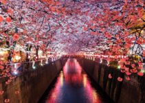 日本旅行费用：你需要多少钱才能游遍全日本？
