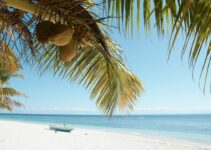 马达加斯加之旅花费大揭秘：究竟需要多少费用?