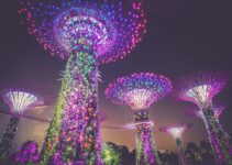 新加坡旅游费用大揭秘：到底需要多少钱？
