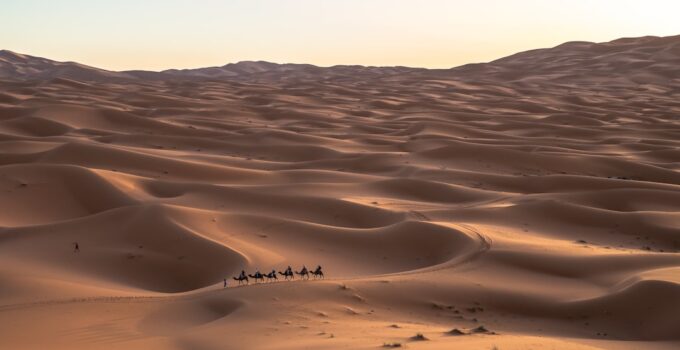 Photo Camel caravan